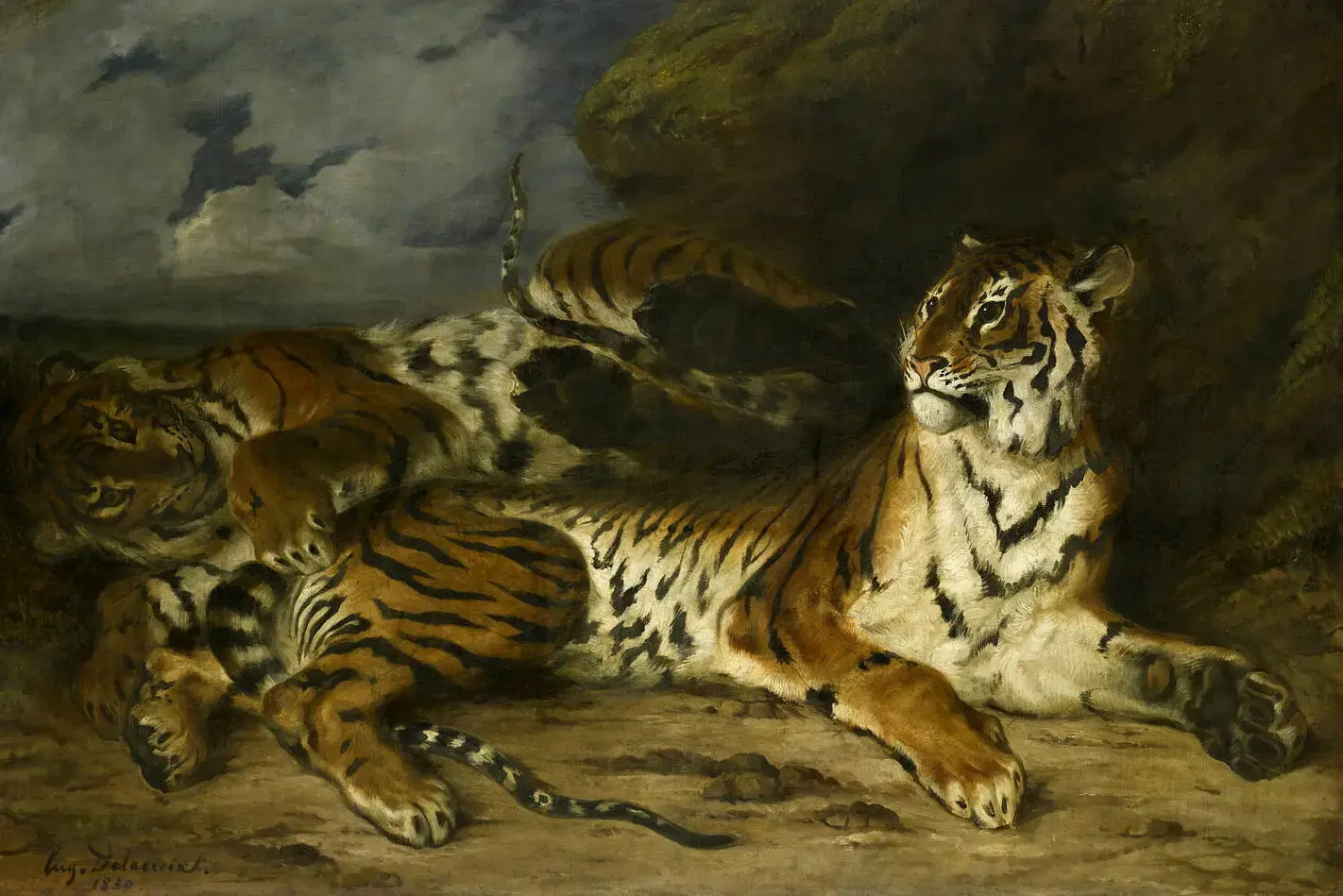 Jeune-tigre-jouant-avec-sa-